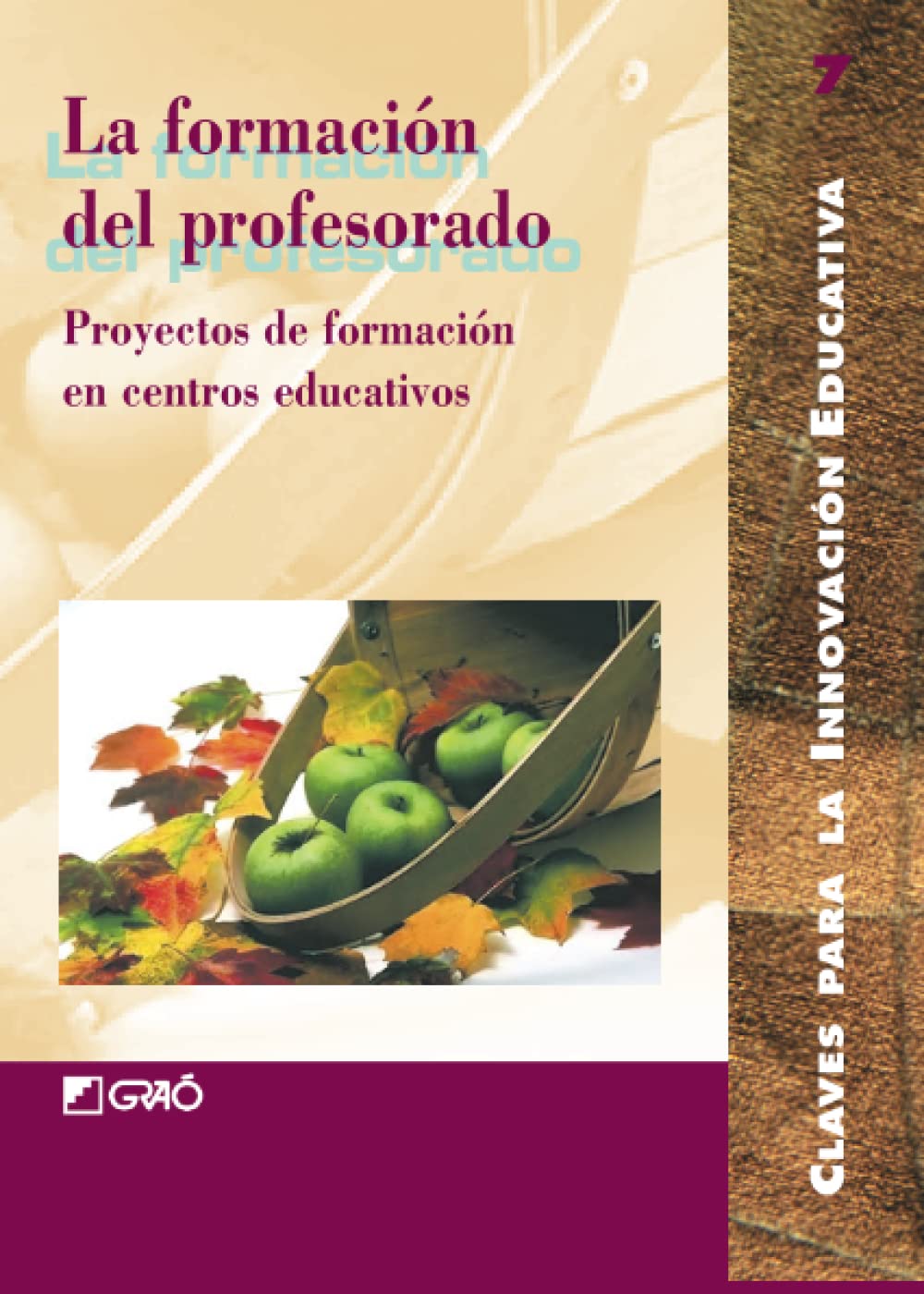 La formación del profesorado: Proyectos de formación en centros educativos: 007 (Claves para la Innovación Educativa)