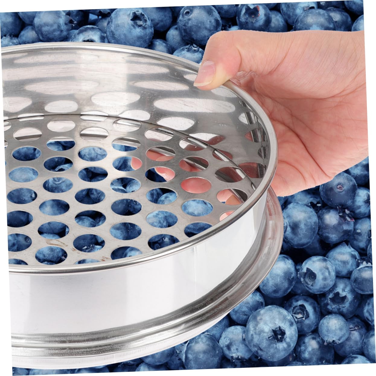 2 Stück Rundlochsieb Edelstahl 15mm Abgießsieb für Beeren Pilze Küchensieb und Gartensieb mit Herausnehmbarem Netz