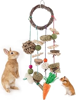 Sponsored Ad - MEWTOGO Rabbit Chew Toy - Guinea Pig Chinchilla Bunny Toys, Safe Rabbits Cage Hanging Chew Toys with Chew T...