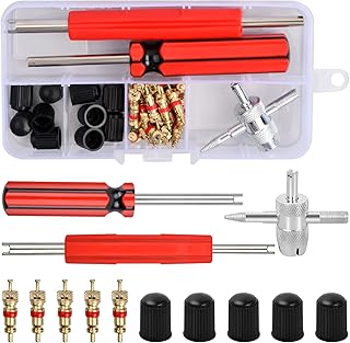 Dokpav 43 Pcs Valve Core Tool Set,Tire Valve Repair Tools,30 Pcs Valve Cores, 10 Pcs Tire Valve Caps, 1 Pc 4-Way Valve Tool, Dual Head and Single Head Valve Core Remover for Car/Bike/Bicycle/Truck
