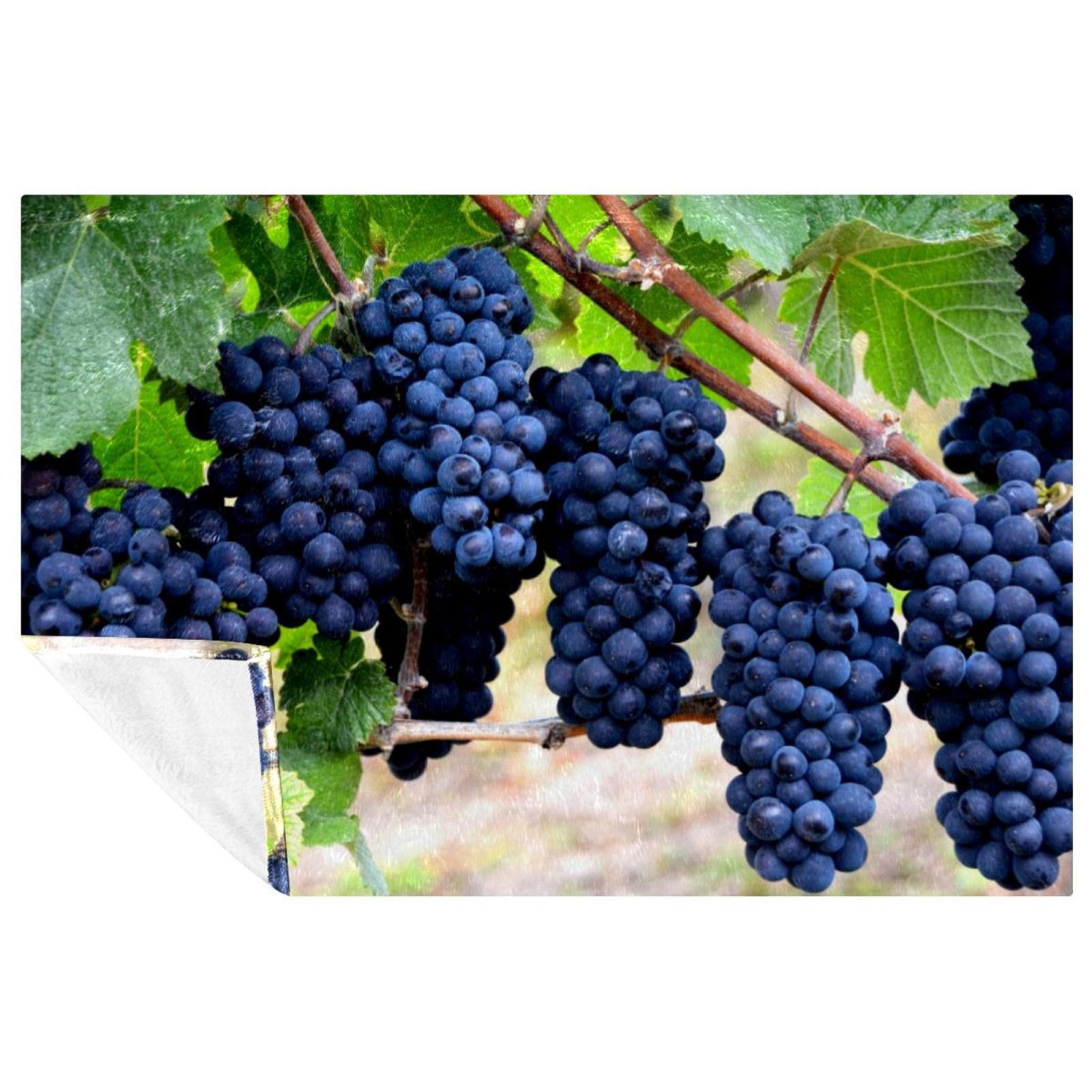 Couverture douce pour pique-nique et camping motif fruits des bois