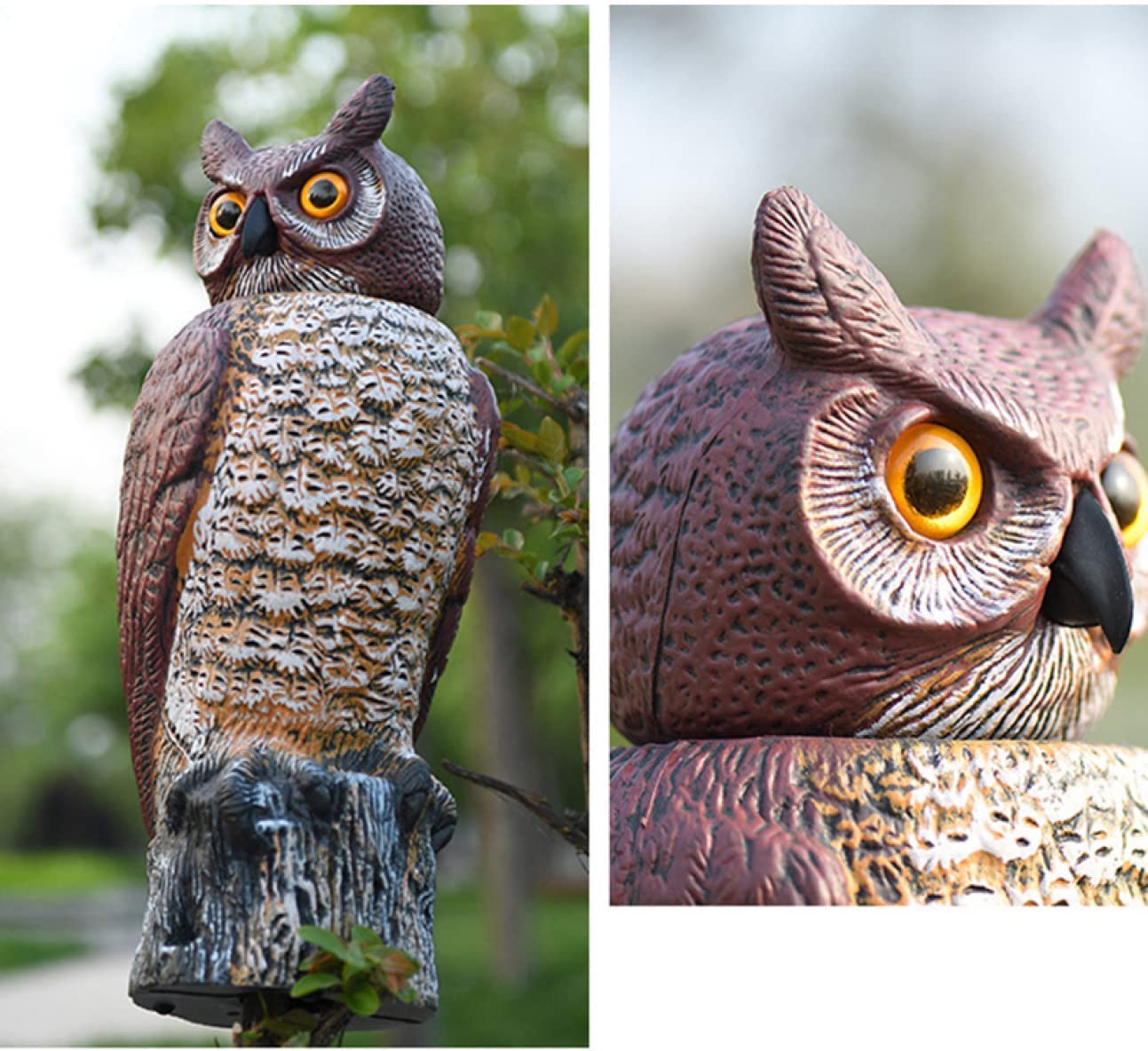 Amazon.co.jp: ふくろう ガーデン オブジェ タイプ ディスプレー