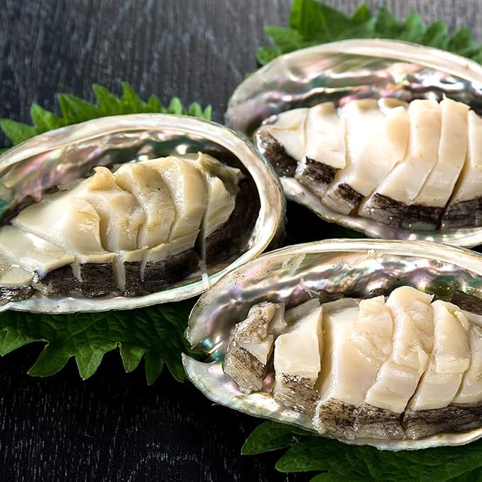 即納 天然物 活き アワビ 1kg 天然物 活き サザエ 3kg 玄界灘 壱岐産 獲れ 次第 直送 値下げ
