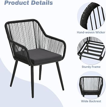 ECOTOUGE Set of 2 Outdoor Dining Chairs, Patio Wicker All-Weather Woven Rattan & Iron Chairs w/Cushions & Armrests, 350lb Capacity Modern Seating for Garden, Poolside, Balcony, Indoor Use, Black