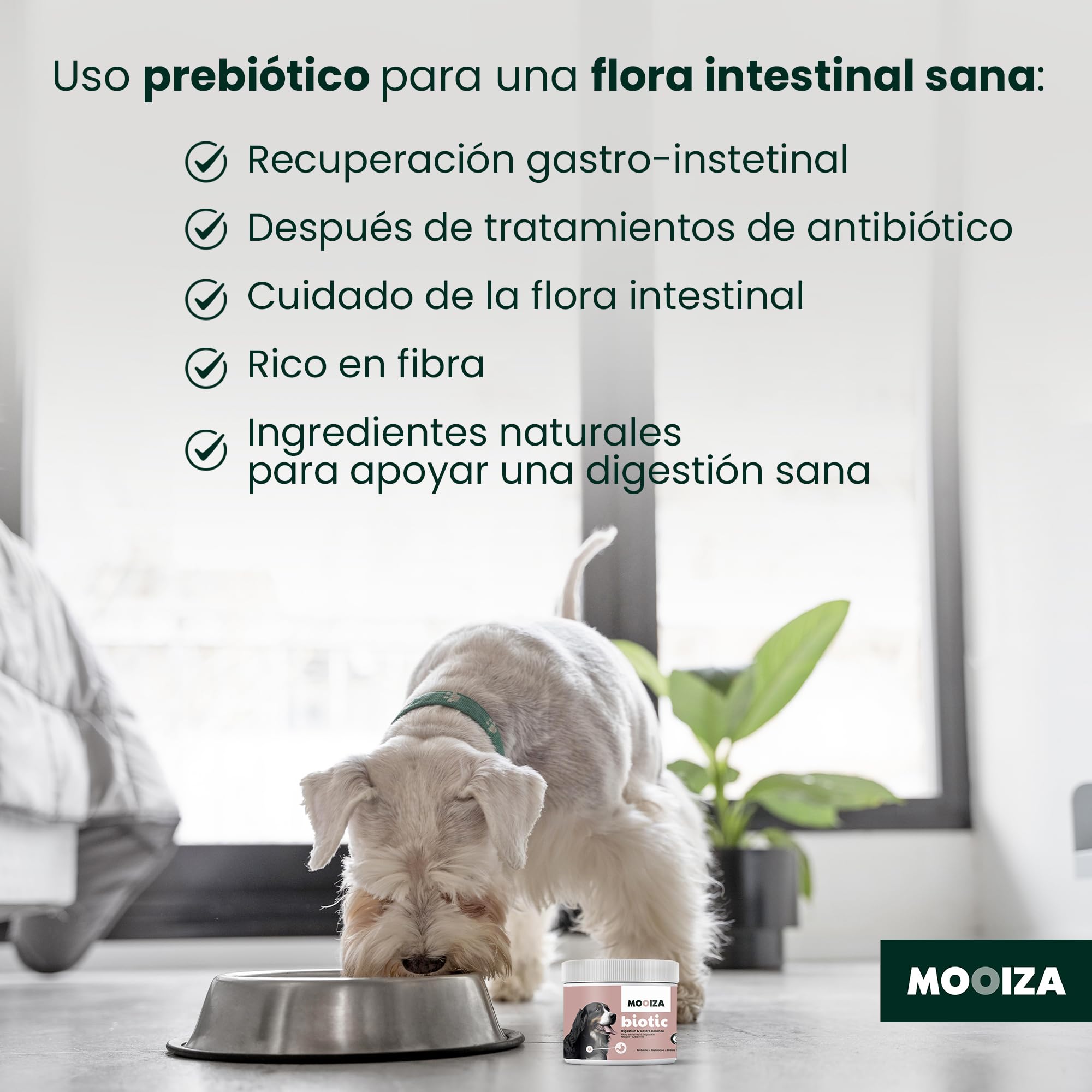 Prebiotici naturali per cani e gatti con Spirulina + Psyllium e carbone vegetale attivato - supporto flora intestinale - integratore nutrizionale per immunità digestiva in formato biscotti 300g |