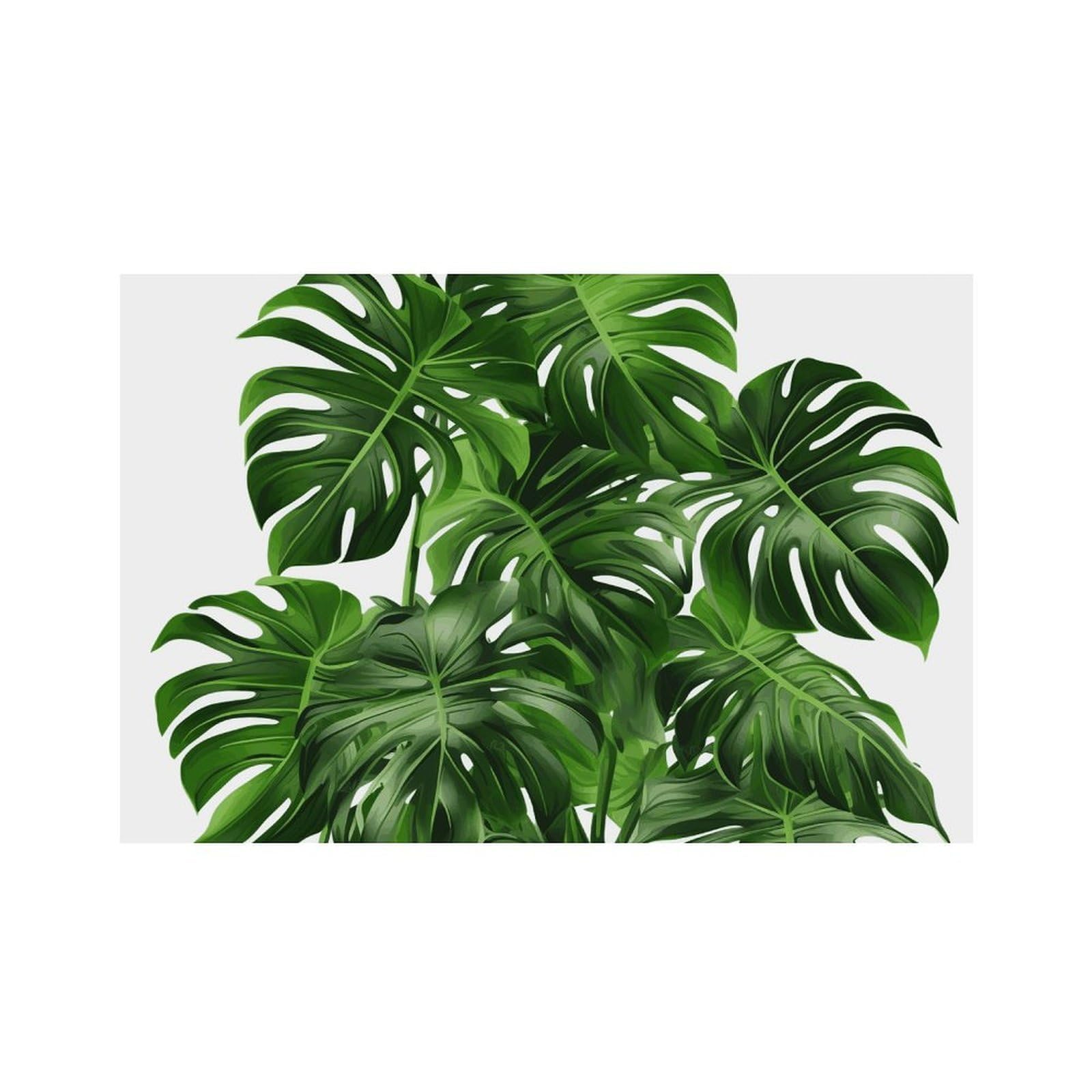 Monstera Deliciosa Banana Palm Place Mat for Restaurant, Portable Table Mat for Kitchen, Anti-Slip Placemats for Home, Fashionable Place Mats for Wedding, Party, Hotels, Apartments 30x45cm