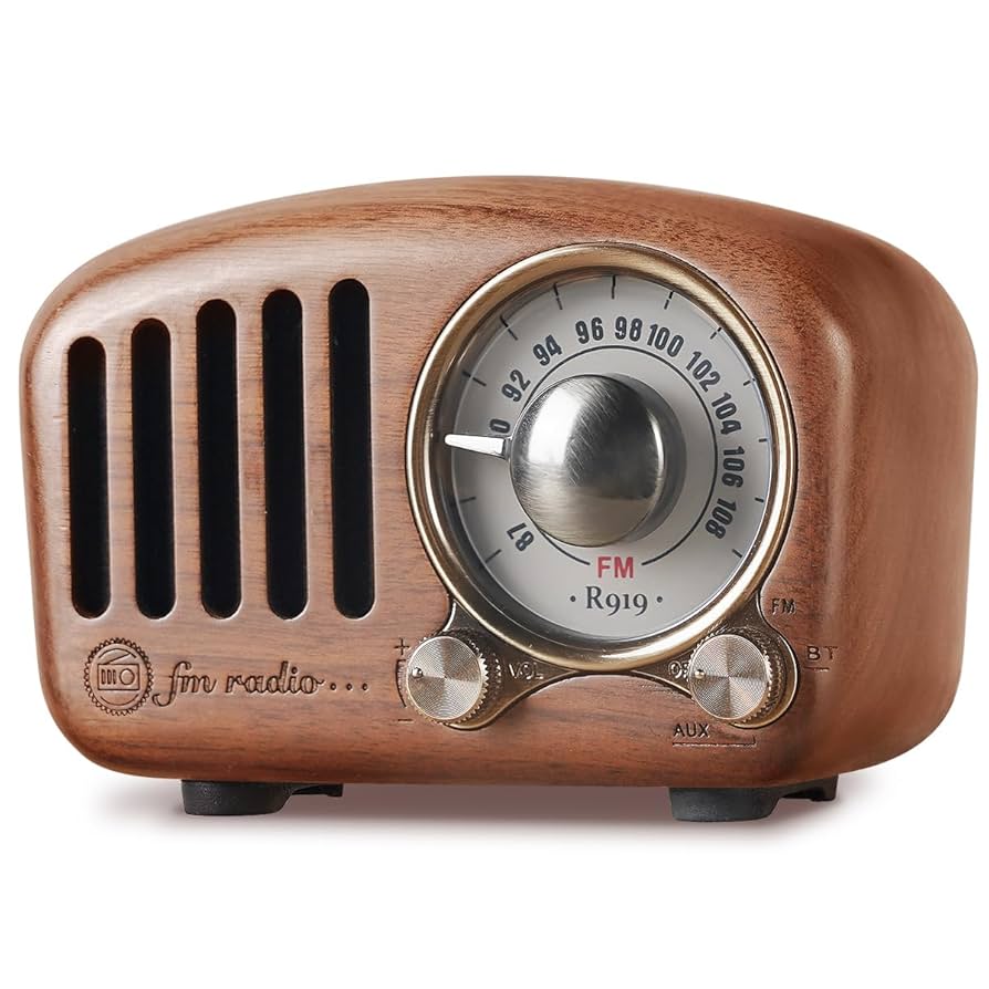 Amazon.com: PRUNUS J-919 Retro Bluetooth Speaker Radio with