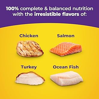 Meow Mix Original Choice Dry Cat Food, 3.15 Pound (Pack of 4)