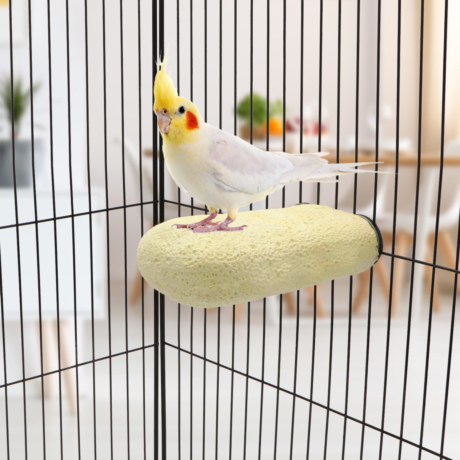 Kauspielzeug für Vogel, Kalziumzähne, Hamster, Schleifstein für Papageien, Sittiche, Nymphensittiche, Kaninchen, Chinchilla, Eichhörnchen, Käfig (zufällige Farbe) (L)