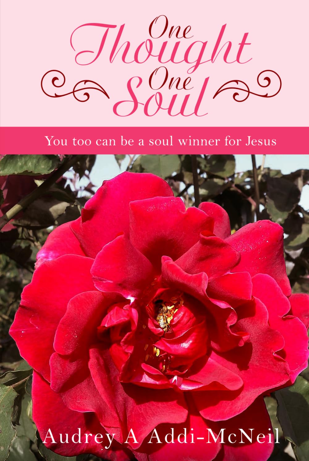 One Thought One Soul: You too can be a soul winner for Jesus