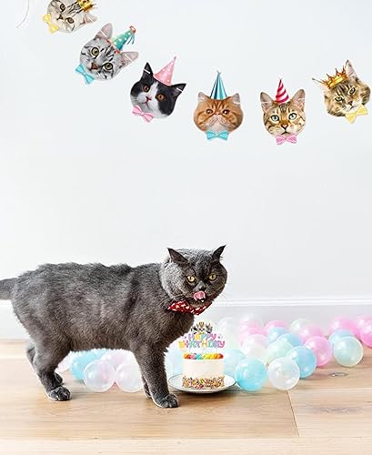 Miniatura 4 de TSJ 16 adornos para cupcakes de gato, decoración de pastel de cumpleaños para gatos, decoración de fiesta temática de gatitos, palitos para pastel