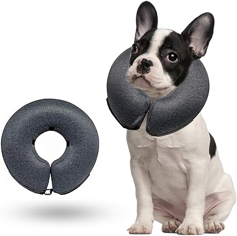 amazon dog donut collar