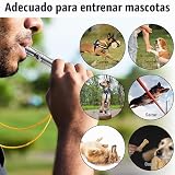 Ver la foto 6