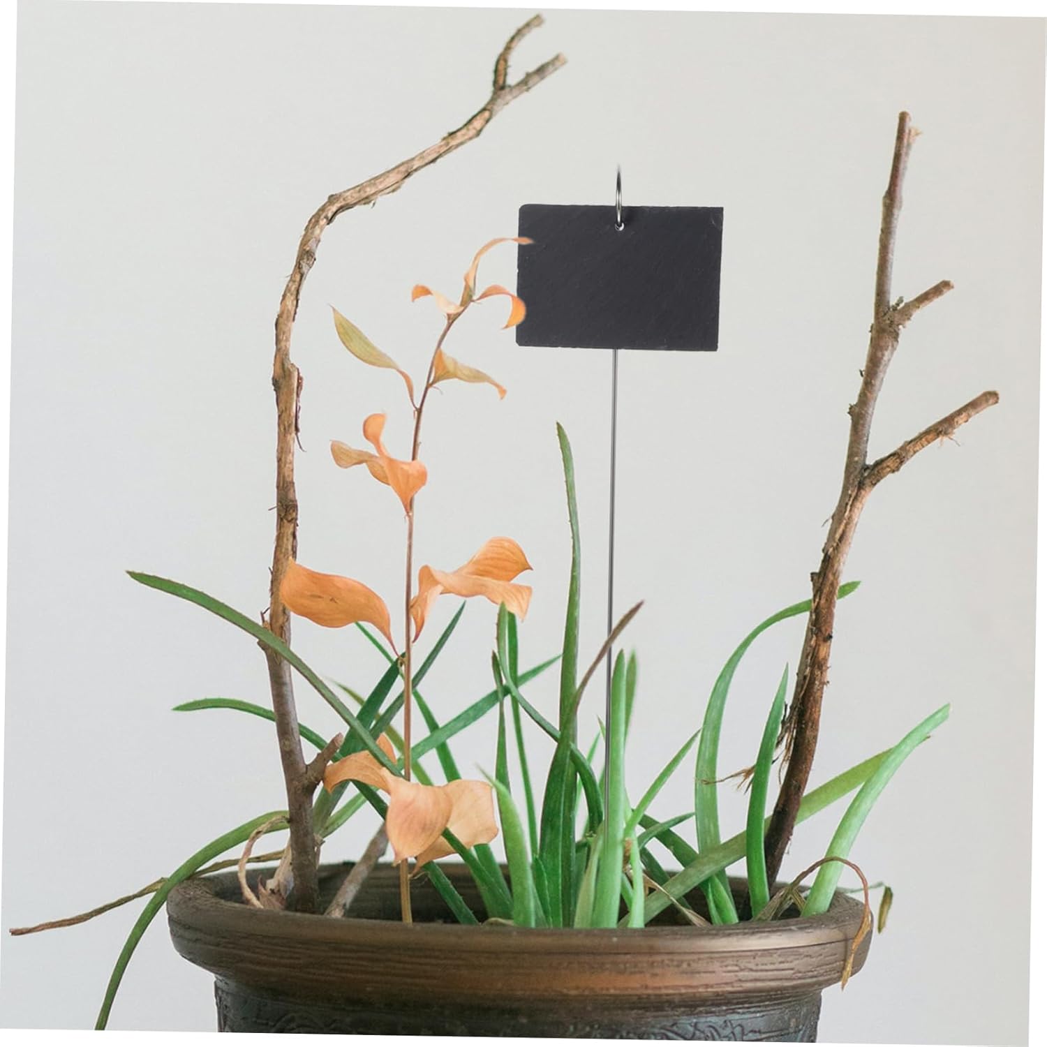 1set Plant Labels Garden Markers Tags Easy to Use Plant Identification for Flower Beds Pots and Parks Reusable