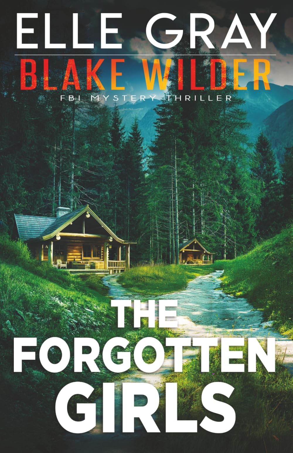 The Forgotten Girls (Blake Wilder FBI Mystery Thriller)