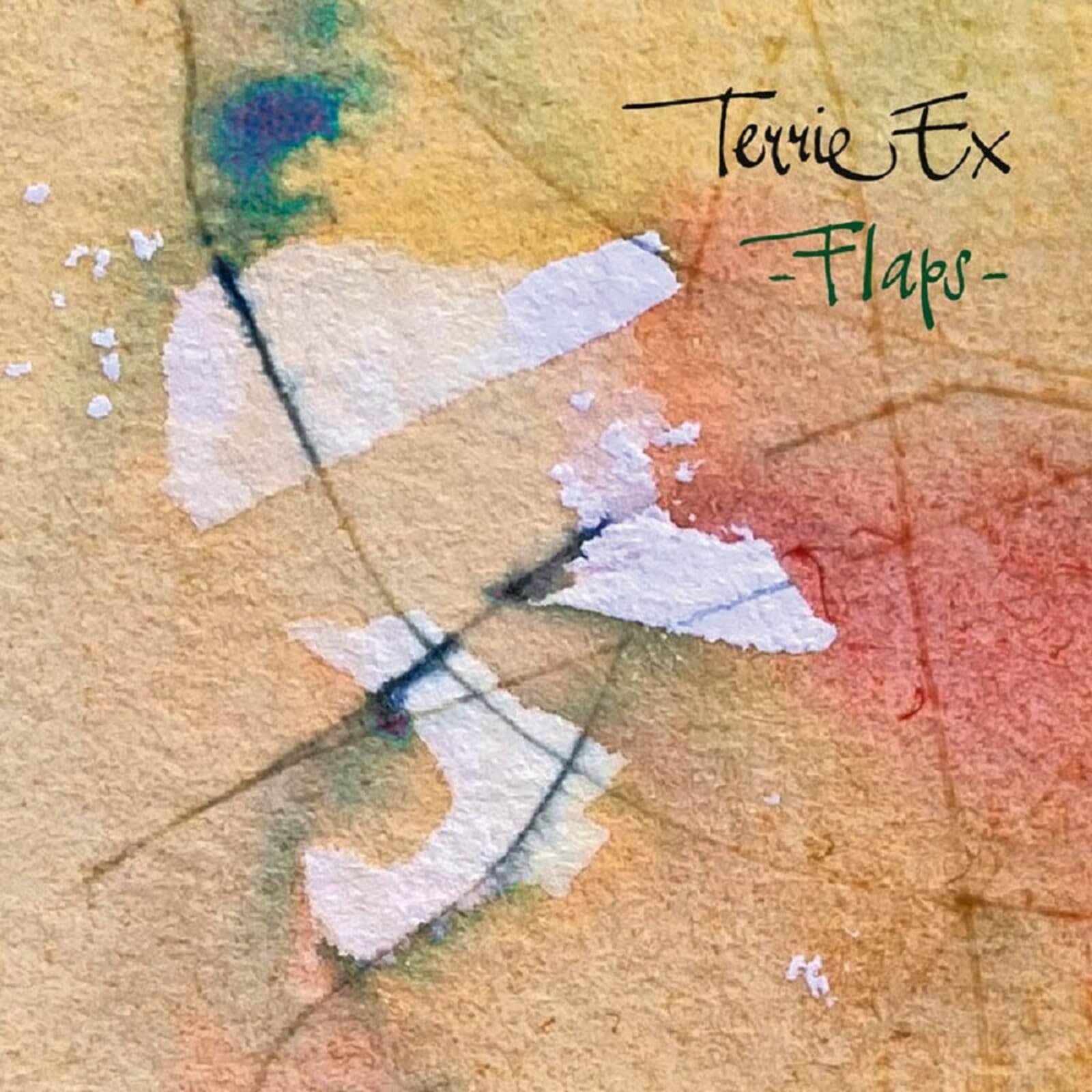 Flaps! [VINYL]