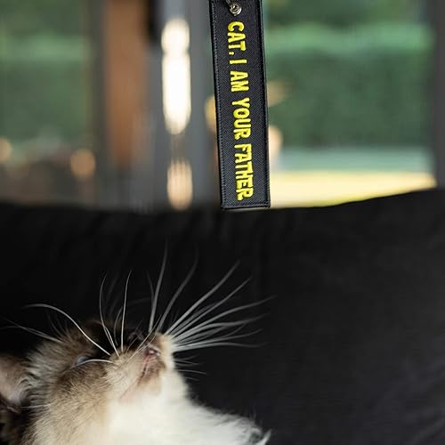 Miniatura 3 de Moto Loot Llavero de gato para llaves de coche, llaves de casa, amantes de las mascotas y regalos