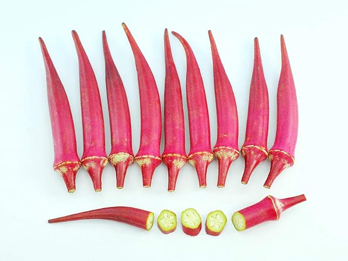 Seedstores High Yield Lady Finger Burgundy Hybrid Red Okra Candle