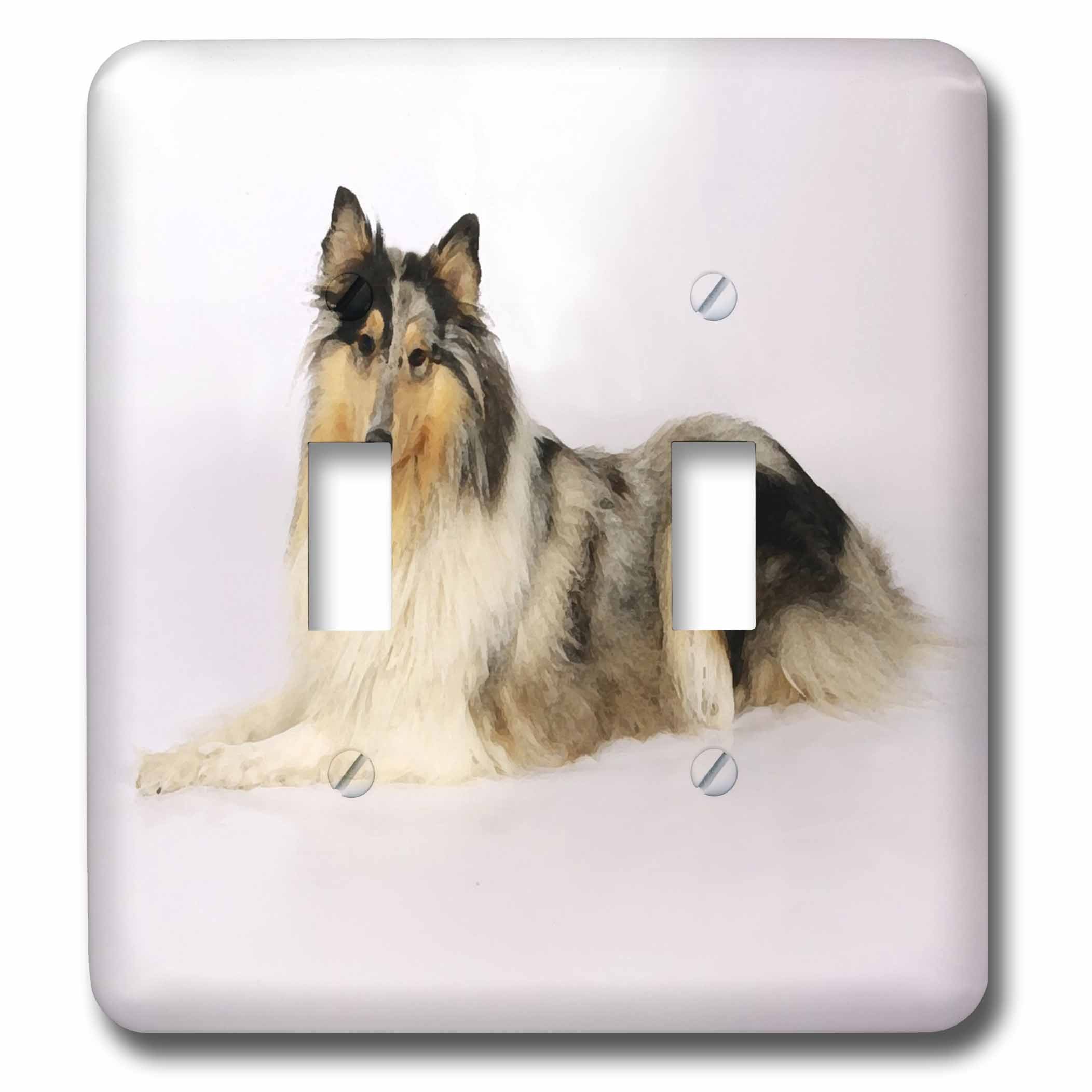 Interrupteur à bascule double Collie pour remplacer une plaque blanche