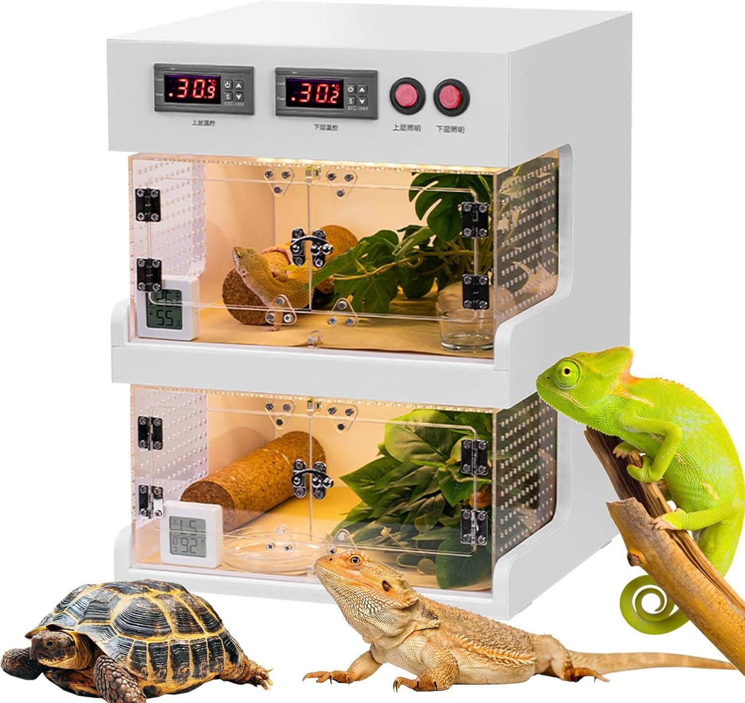 バスキング＆シェルターM ビバリア 爬虫類用シェルター 販売 通販