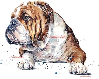 English Bulldog in Recess - Print Watercolour, English Bulldog art, English Bulldog print, English Bulldog art print, English Bulldog wall decor