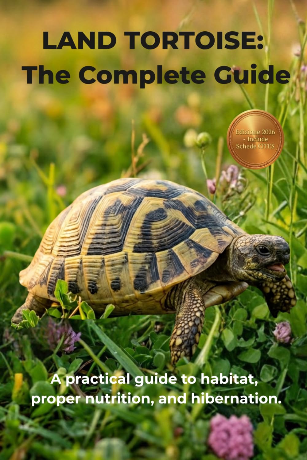 LAND TORTOISE: The Complete Guide: A practical guide to habitat, proper nutrition, and hibernation.