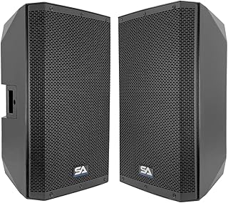 Seismic Audio - Riot-15P-Pair - Pair of 15 Inch Passive 2-Way 900 Watt PA/DJ Speaker Cabinets