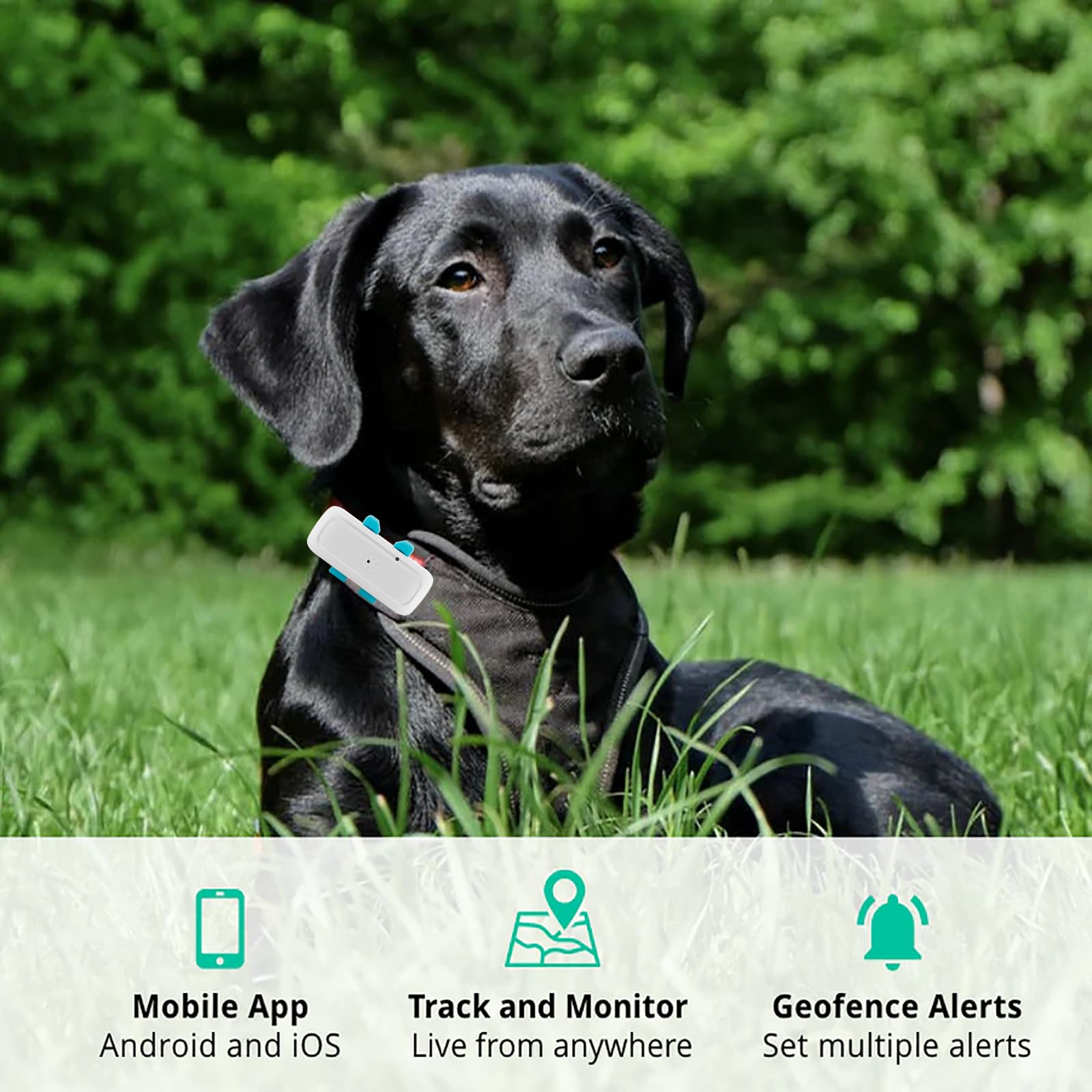 GPS Tracker Kinder Mini Ohne ABO Ortungsgerät Mit Starker