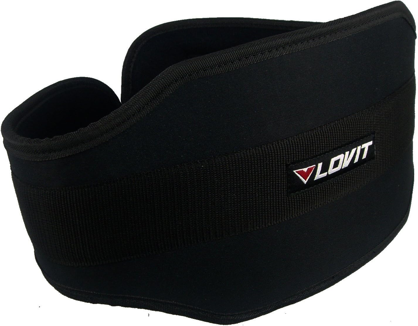 LOVIT Professional Dip Belt with Heavy Duty 38'' Chain and Comfortable Padding, Pull up Belt, Weight Belt for Dips Chin Ups, Dipping Belt, Weight Lifting Belt with Chain