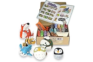 Woolbuddy Beginner Felting Kit: Perfect for Kids and Adults