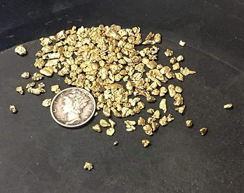 Miniatura 4 de Gold Paydirt 50 LB de Colorado - Bolsas de tierra doradas sin buscar - Pan At Home - Oro garantizado