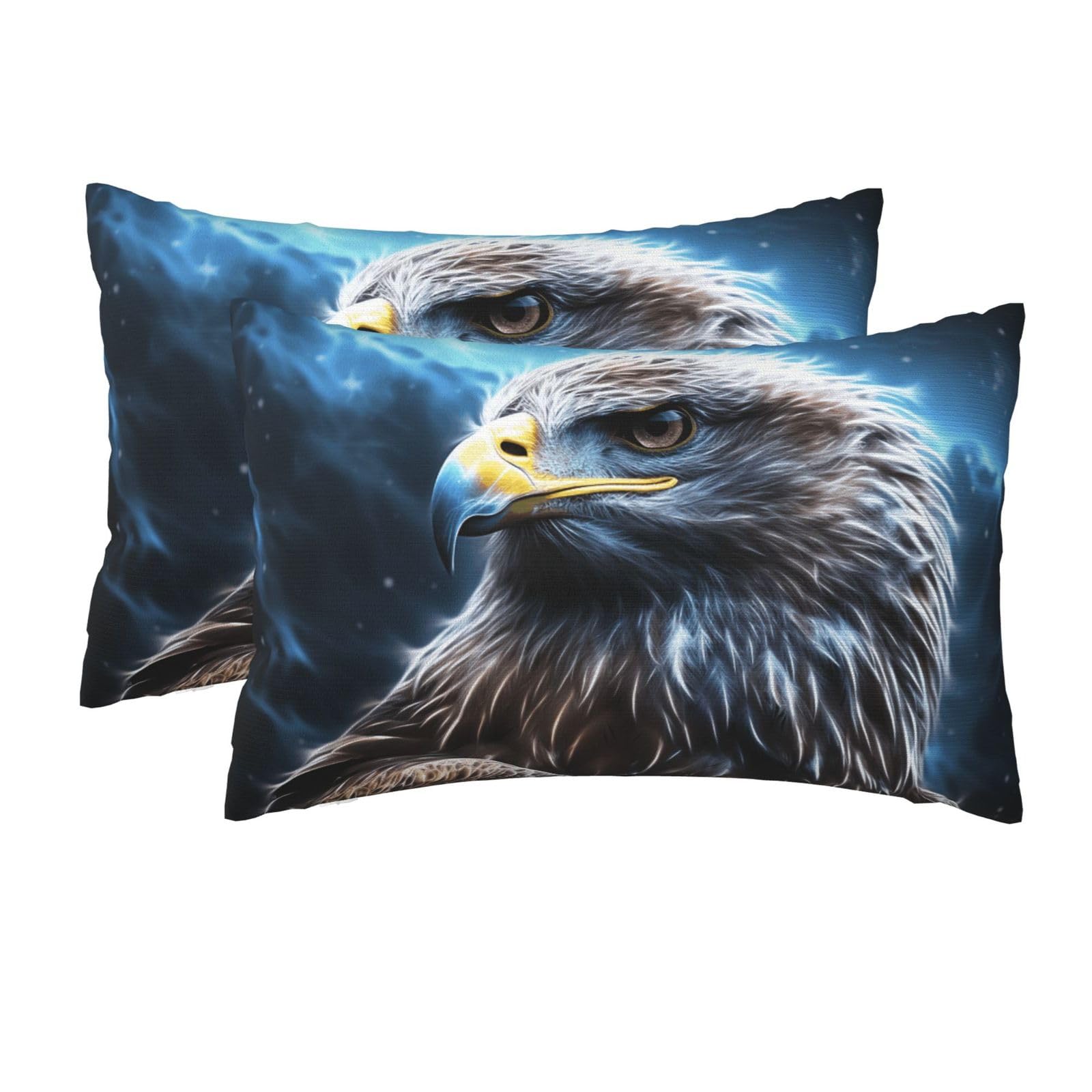 2 Pack Queen Pillow Cases with Hidden Zipper, Soft Breathable Pillow Covers for Hair and Skin, Night Sky Eagle Pillowcases 20"x30" Bed Pillow Protectors Cover for Sleeping Gifts