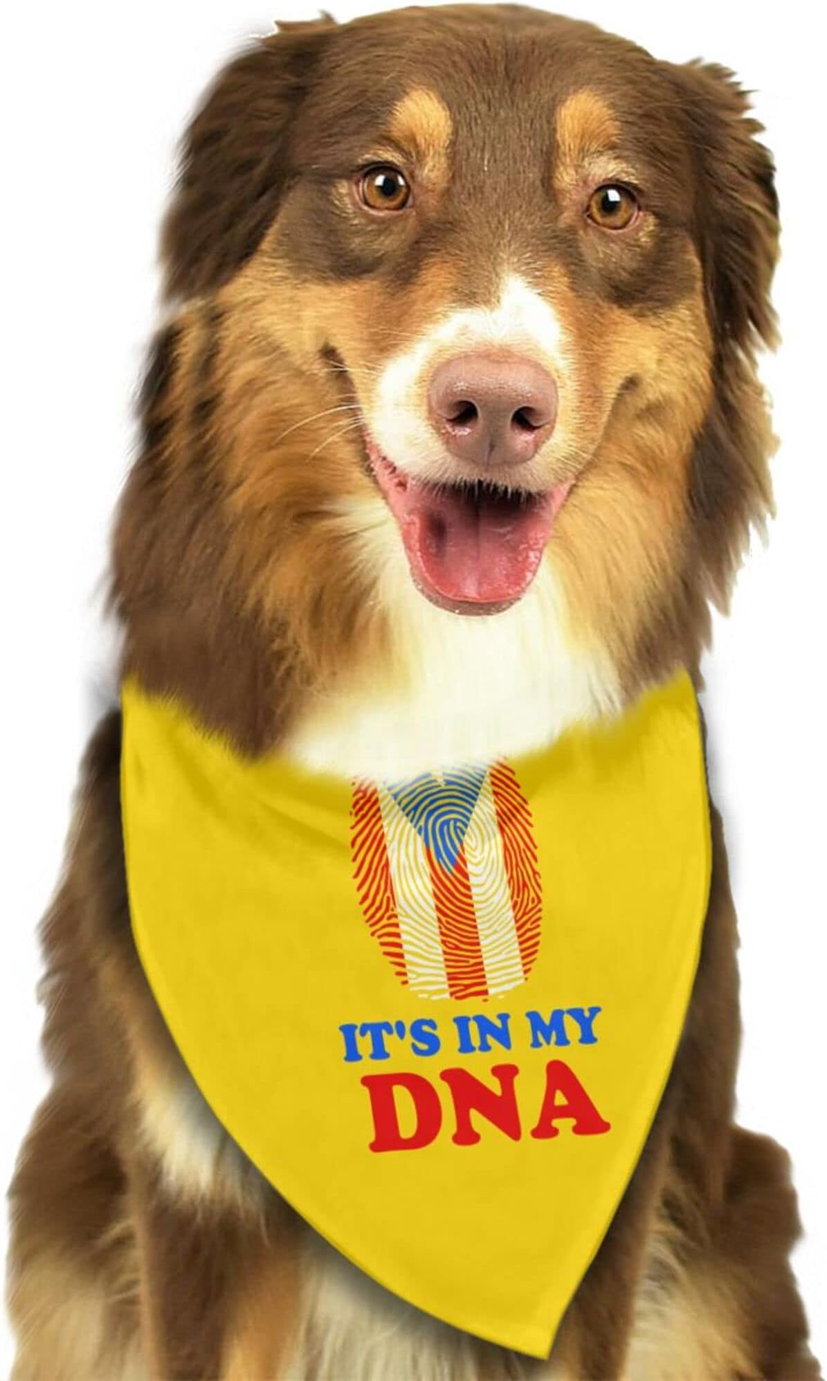 Dog Bandanas Puerto Rico Flag It's in My DNA Pet Bandana Scarf Triangle Bibs Kerchief Accessories for Dogs Cats