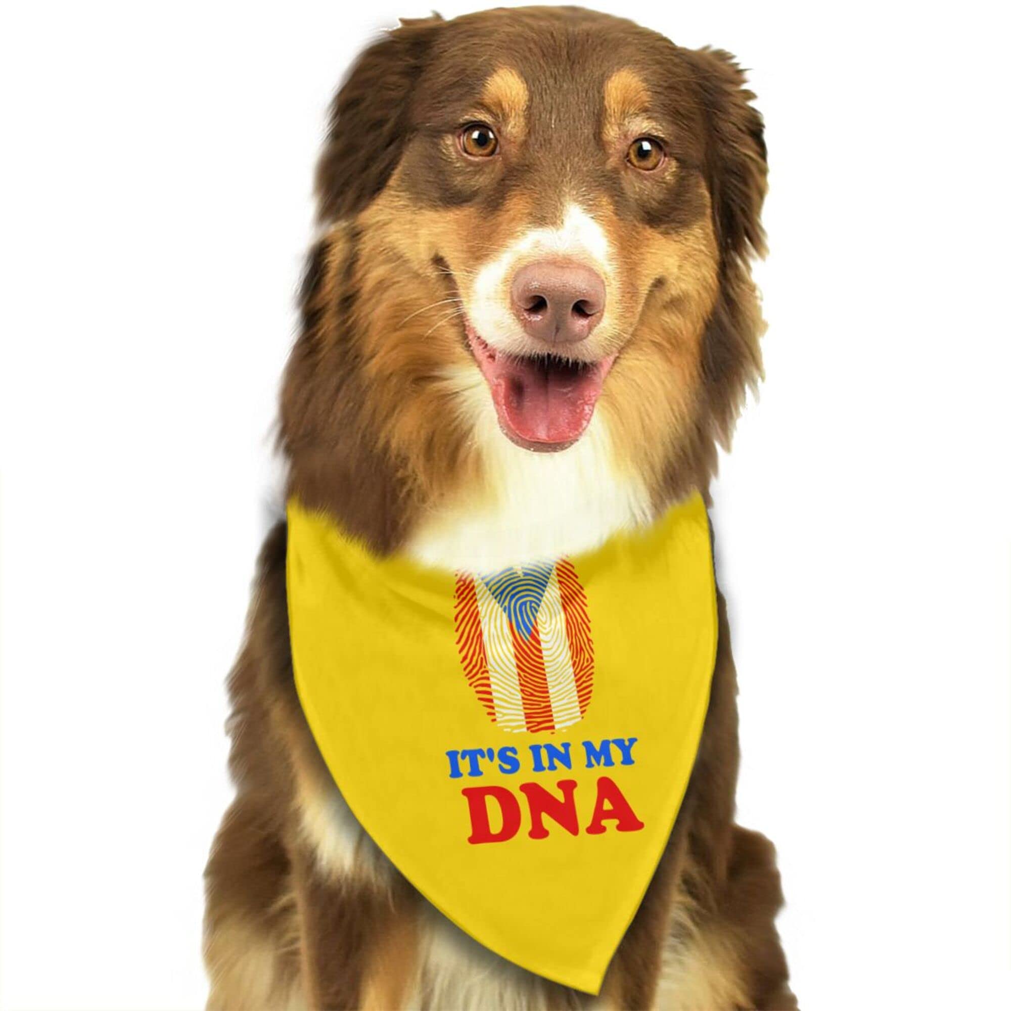 Dog Bandanas Puerto Rico Flag It's in My DNA Pet Bandana Scarf Triangle Bibs Kerchief Accessories for Dogs Cats