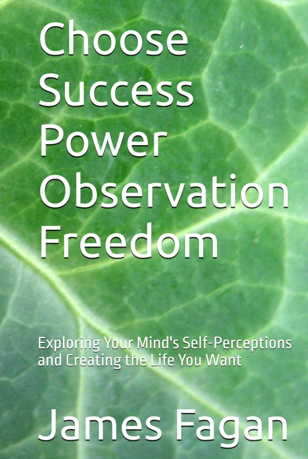 Choose Success Power Observation Freedom: Exploring Your Mind's Self-Perceptions and Creating the Life You Want