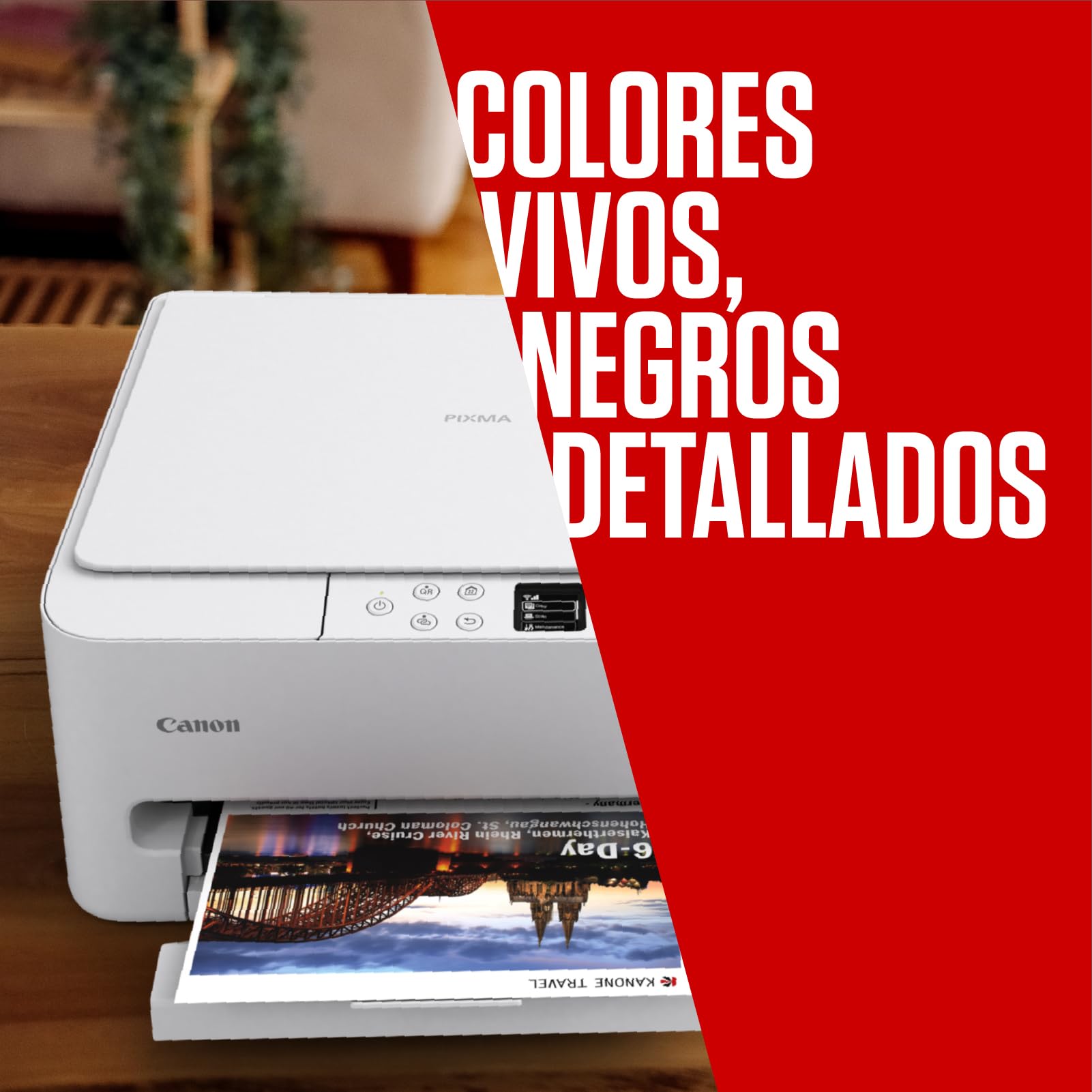 Canon PG-595 / CL-586 Cartuchos de Tinta Original, 1 Cartucho Negro y 1 Cartucho Color, Incluye Papel fotográfico 4x6 (50 x Hojas) GP-501