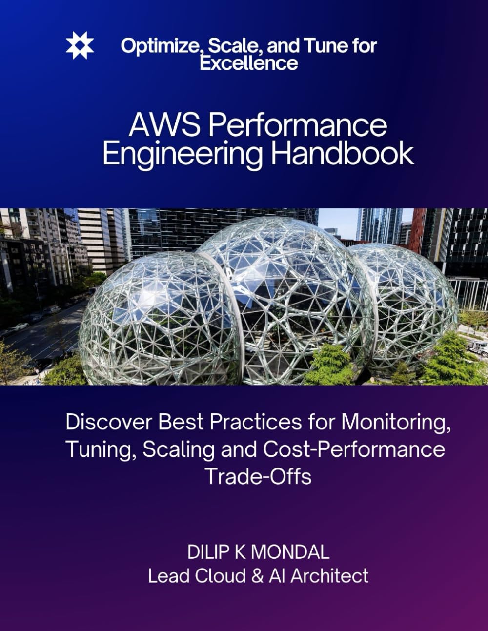 AWS Performance Engineering Handbook: Optimize, Scale, and Tune for Excellence (SRE & DevOps Essentials)