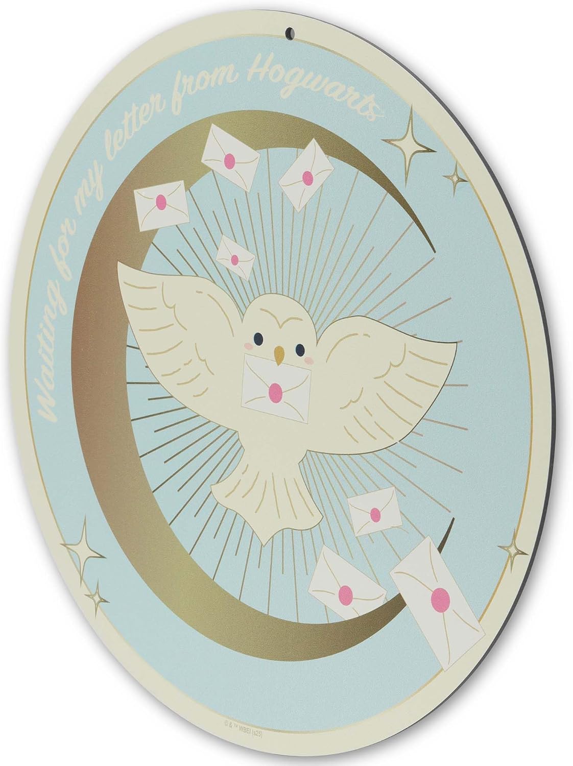 Harry Potter Waiting for My Letter From Hogwarts Metal Wall Decor - Cute Hedwig Wall Art for Bedroom or Nursery