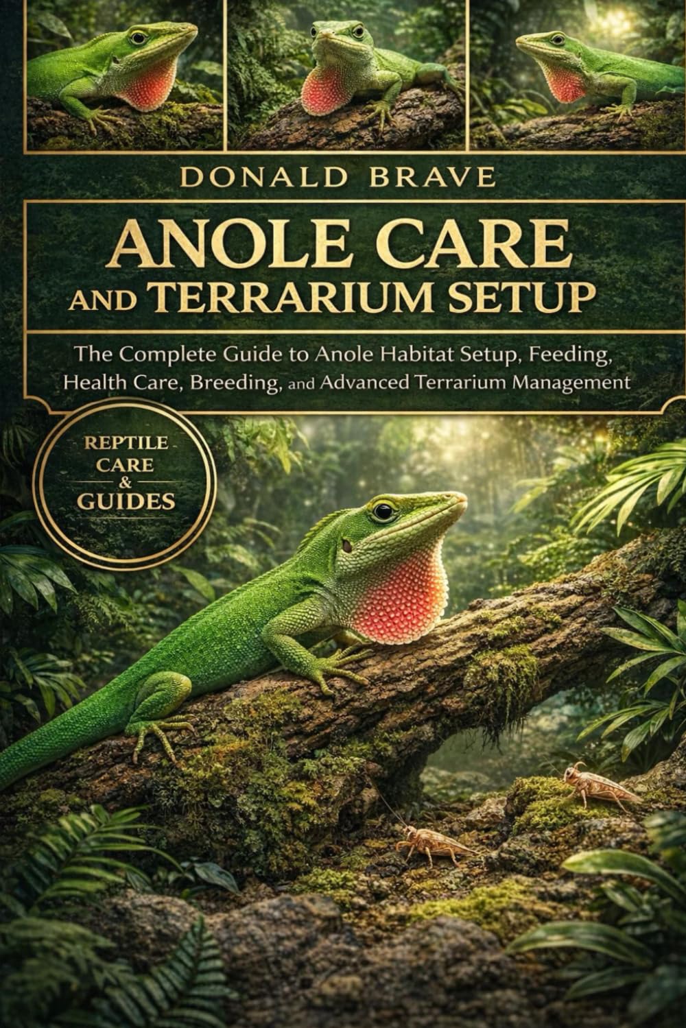 ANOLE CARE AND TERRARIUM SETUP: The Complete Guide to Anole Habitat Setup, Feeding, Health Care, Breeding, and Advanced Terrarium Management.