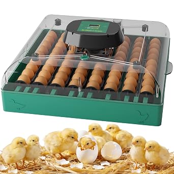72 Eggs Hatching Incubator for Chicken/Duck/Quail | Automatic Egg Turner, Humidity Control, Digital Temp, 360 Clear View, Ideal for Lab School Farm