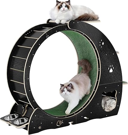 4-in-1 Cat Running Wheel, Large Cat Treadmill,Large Quiet Exercise Wheel with Scratching Pad & Play Roller,Stable Wood Base for Indoor Cats