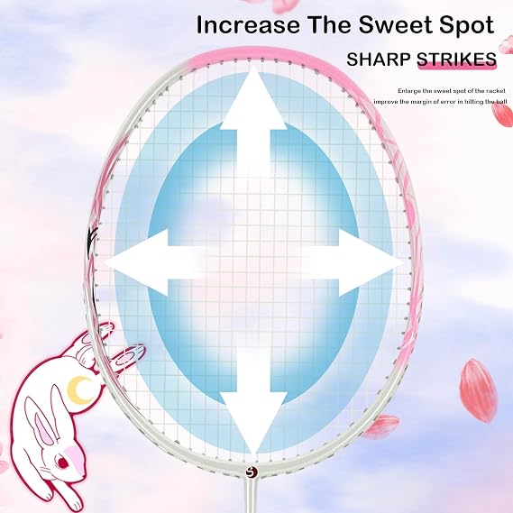 Senston Carbon-Fiber Badminton Racket 5U Badminton Racquet, Single Professional Badminton Rackets