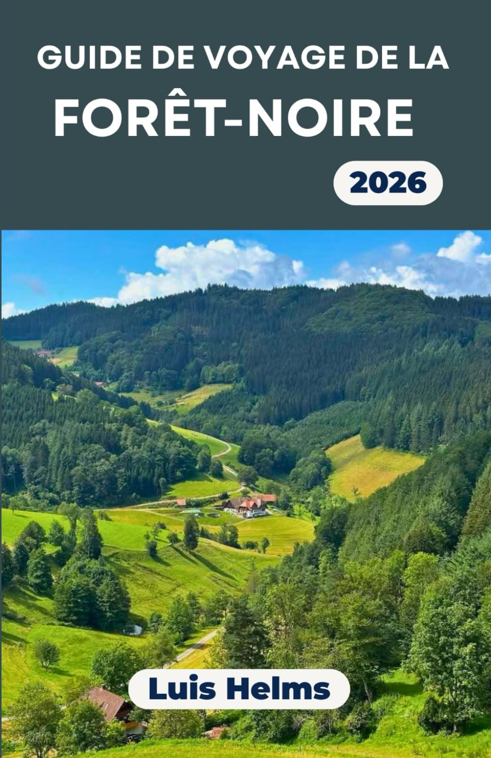 GUIDE DE VOYAGE DE LA FORÊT-NOIRE 2026: Des itinéraires axés sur les paysages, une immersion culturelle et un calendrier adapté à chaque saison
