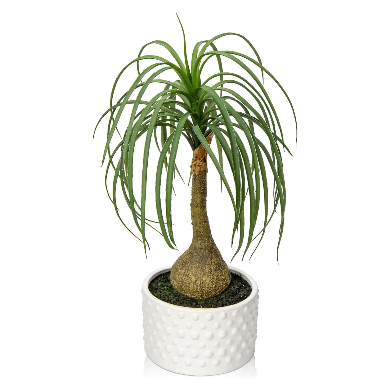 Villa Como フェイクグリーン インテリアグリーン 人工観葉植物 40cm 鉢植え ポニーテール トックリラン 手入れ不要 卓上 室内 新築祝い