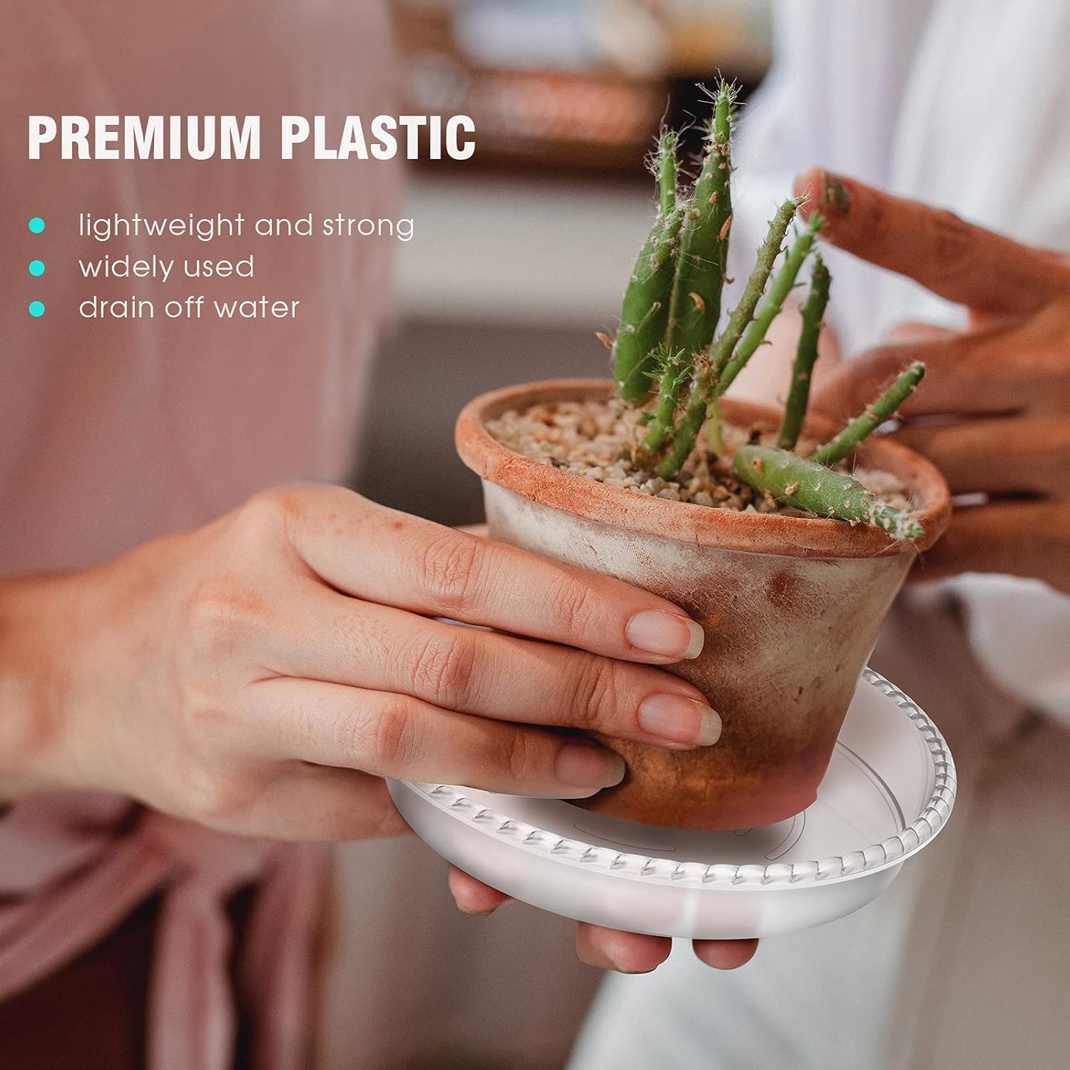 DUNPUTE Plant Saucer 6 Pack 5 6 8 10 12 14 Inch Plastic Plant Trays, Sturdy and Durable Flower Pot Containers Plant Pot Saucers for Indoor and Outdoor (6 Inch, Clear) : Patio, Lawn & Garden