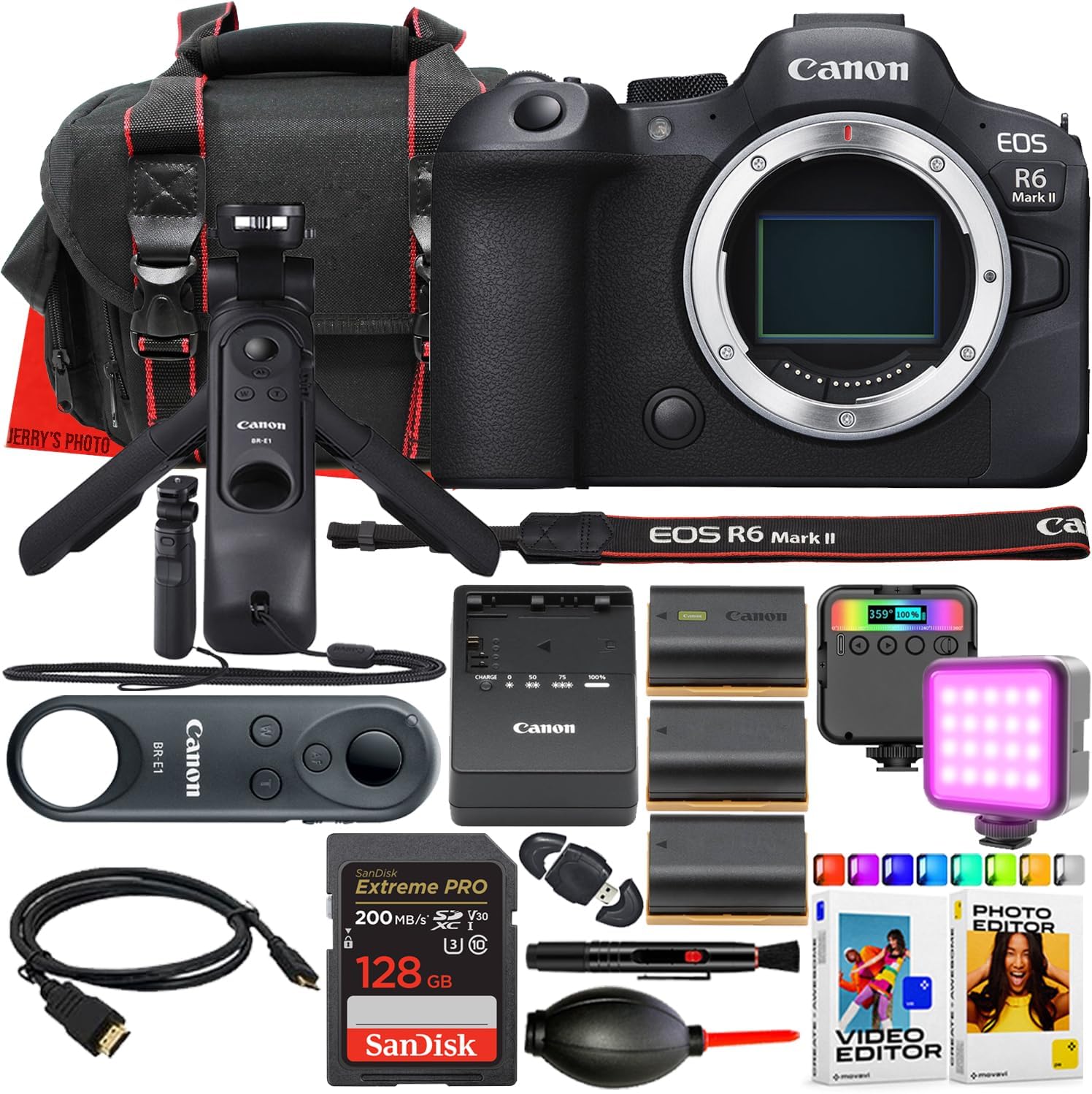 Canon EOS R6 Mark II Mirrorless Camera Body + Canon HG-100TBR Tripod Grip & BR-E1 Wireless Remote Control + 128 GB Memory + RGB LED Light + 2pc Extra Battery + More (17pc Bundle) (Renewed)