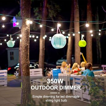 350W Outdoor Dimmer and Spare Remote,Light Switch for 0utdoor String Light