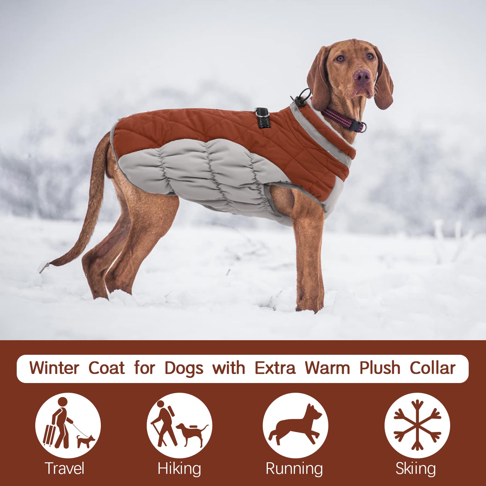 Kuoser Perros Abrigo, Impermeable Chaqueta arnes Perro de Invierno, 3XL | Perros Chaqueta impermeable, abrigo cálido de invierno con cremallera, tiras reflectantes y cordón ajustable para exteriores