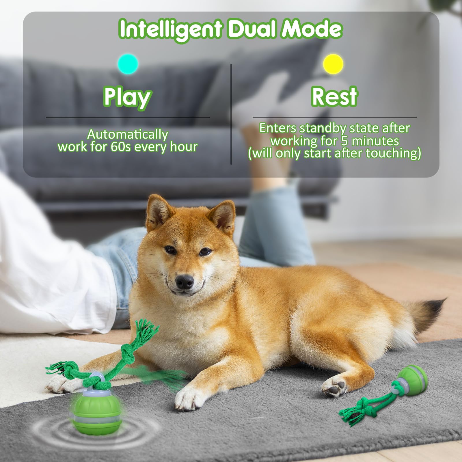 IFurffy Peppy Pet Balle interactive pour chien, jouet interactif pour
