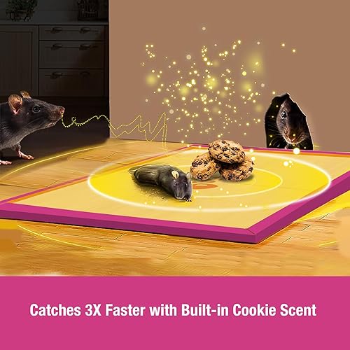 Miniatura 2 de ZingZap Tabla de pegamento para trampa para ratones, paquete de 13 unidades, captura 3 veces más rápida con aroma de galletas integrado, trampa